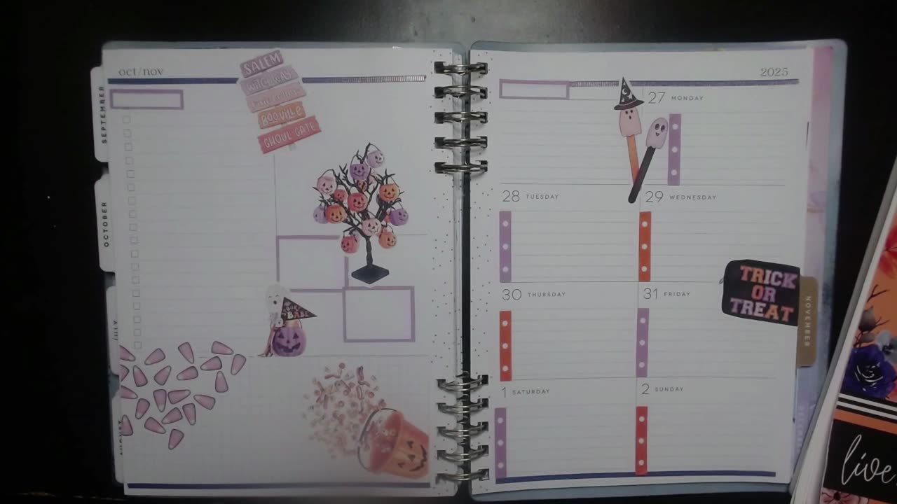 October 27 - November 2 in my dashboard planner