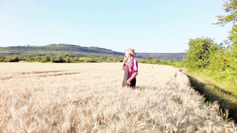 Wood & Wire: The Gospel in the Grain | Christian Storytelling Song That Hits the Heart