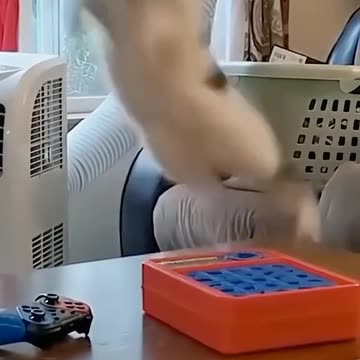 Unhappy changed to Happy, don't miss this