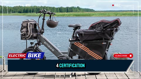 Engwe LE20 Electric Bike 48V 19.2Ah 20 Inch Tires Mid-drive Motor Electric Bike
