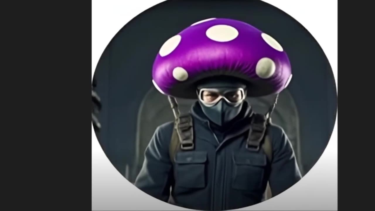 I Hate Living With Monkes