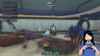 November 20, 2025 Stream