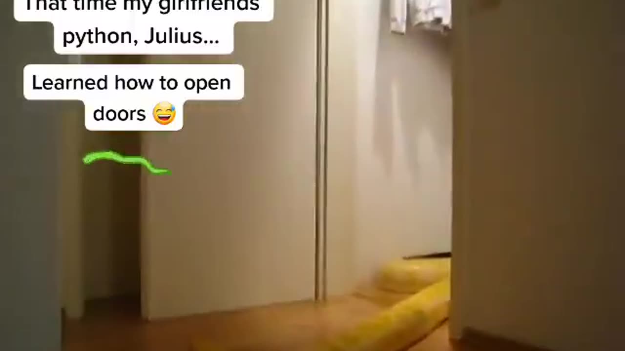 They're Evolving