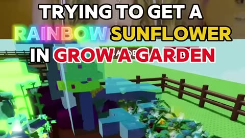 Trying to a get a “RAINBOW SUNFLOWER” in GROW A GARDEN on ROBLOX!
