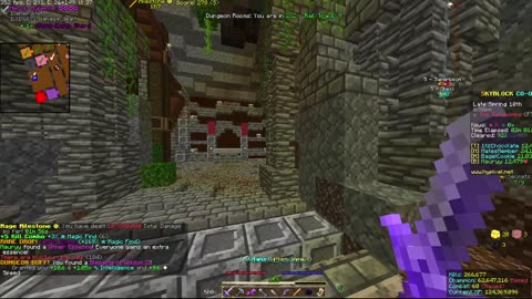 Skyblock FLOOR 7 [#2055]
