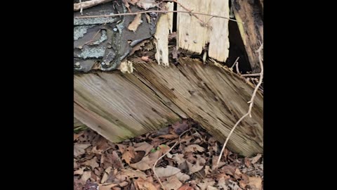 Abandoned dog houses.