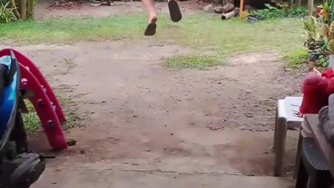 Flying around..