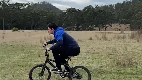 Animals rode bicycles
