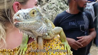 🔴POWERSPORTS, FESTS, SIMS/GAMING, COMEDY, TRAVELNSHEZ