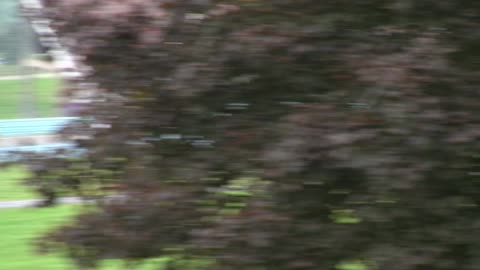 🔴POWERSPORTS, FESTS, SIMS/GAMING, COMEDY, TRAVELNSHEZ