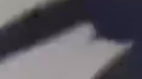 😱 Man Puts Leg in Dog’s Mouth, But Then This Happens 🐕💥
