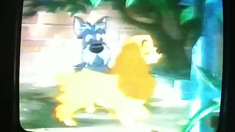 6. Lady and the Tramp VHS (1987)