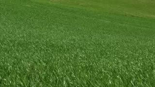 o naufragio do titanic 7.mp4