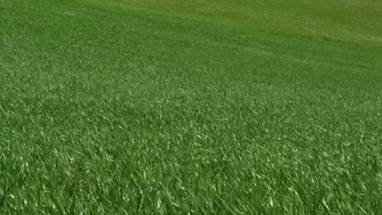 o naufragio do titanic 7.mp4