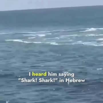 Wild Footage Shows A Swimmer Attacked And Killed By Shark In Israel