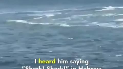 Wild Footage Shows A Swimmer Attacked And Killed By Shark In Israel