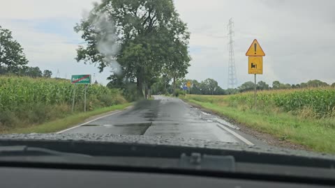 Ostatnia wspólna podróż [*]