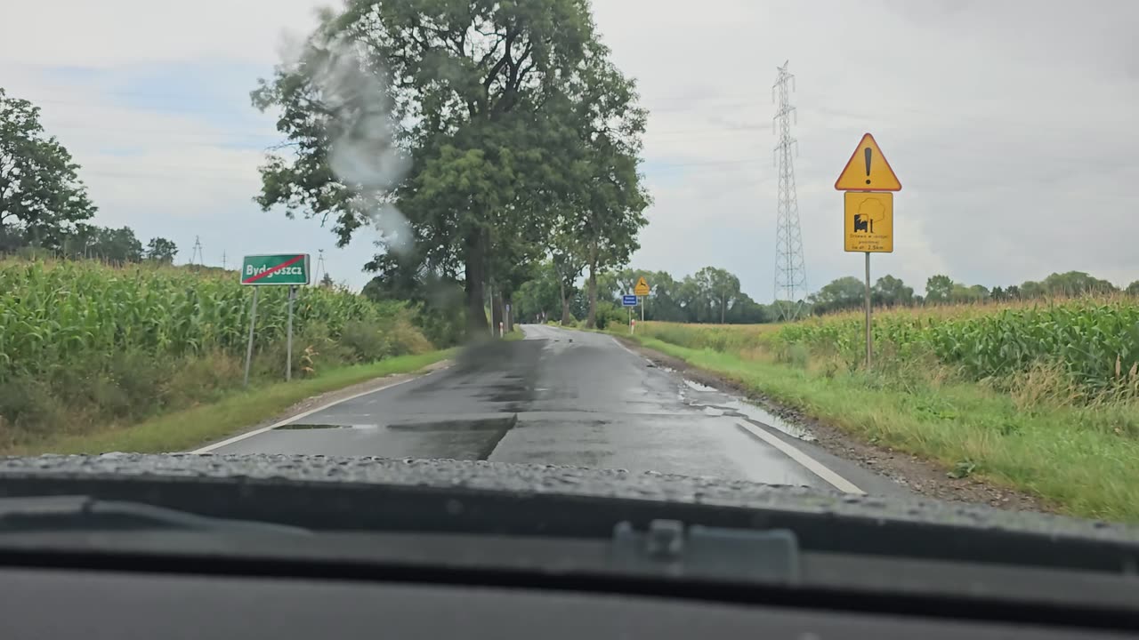 Ostatnia wspólna podróż [*]