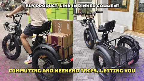 PULUMA SL001 Cargo Electric Bike 1000W Motor 48V 27AH Battery 20*4.0 Inch Cargo Electric Bike