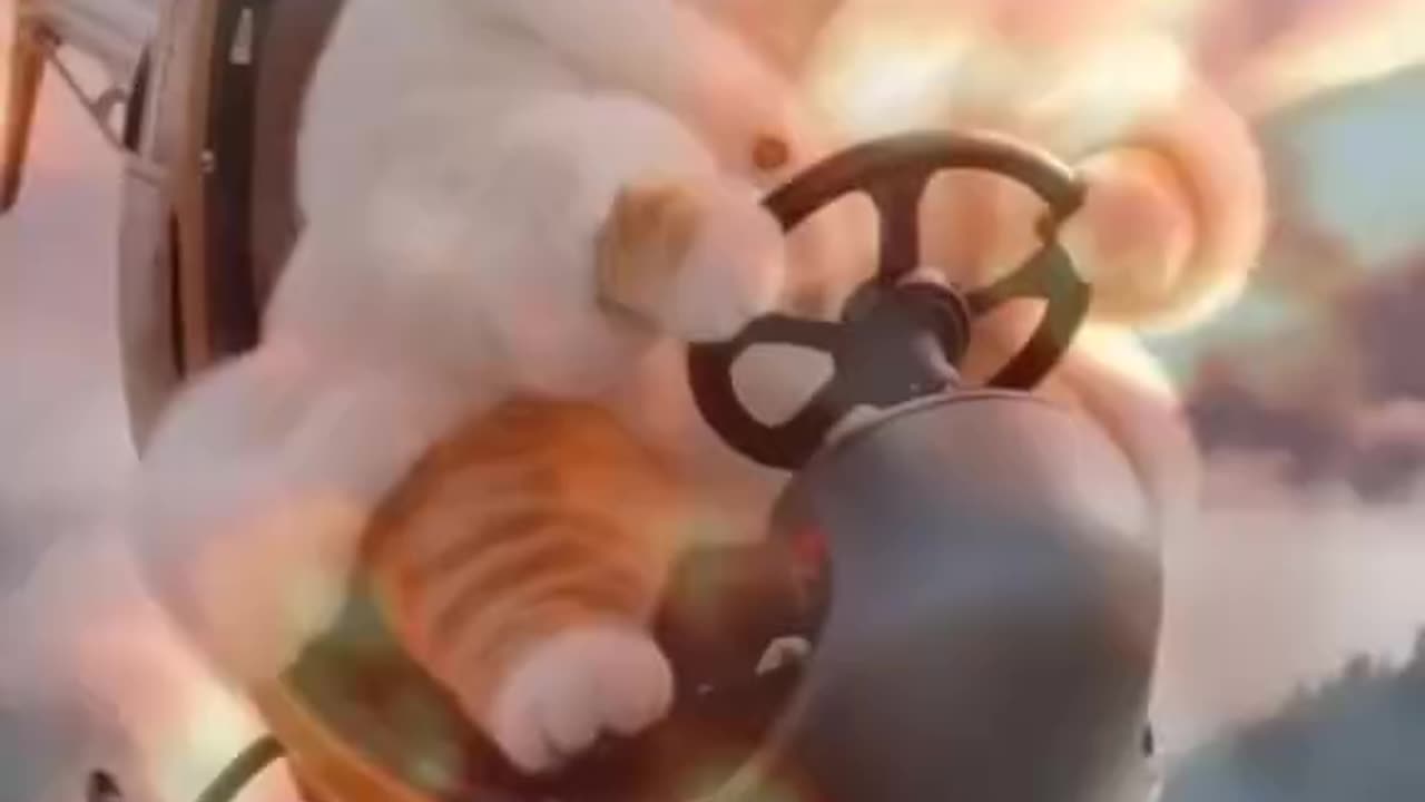 Cat is very funny