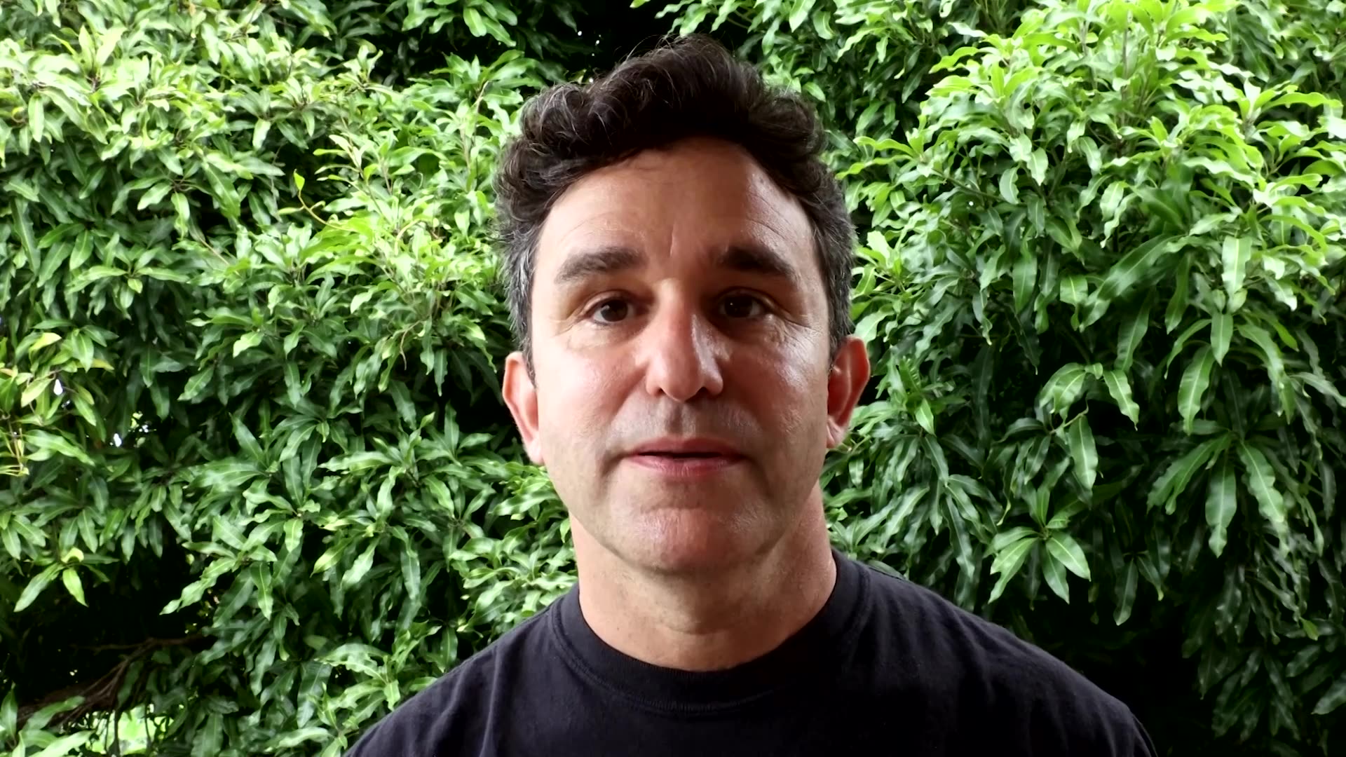 Researchers tout tap-and-go whale-tagging drone as a gentler approach