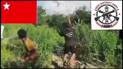 🛸🌿 Myanmar War | Myingyan District Drone Attacks on Junta Troops | RCF