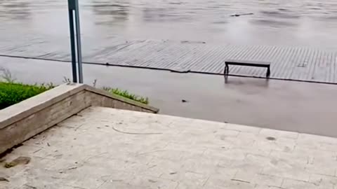 😂🚂 Why the Water Train Had to GO! My Boardwalk Water Train Needs Me | FunFM