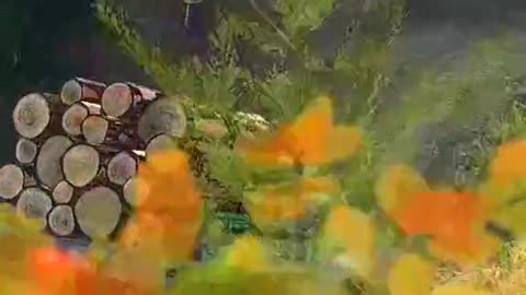 TRUK TUA LAWAN MEDAN GILA! GAS *MUDRUNNER* – GAMEPLAY SUPIR TRUK OFFROAD ALAT BERAT DI PC