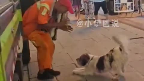 The sanitation worker comes to play with the puppy for a while every day