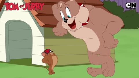 Tom and Jerry 1980's Cartoon classic