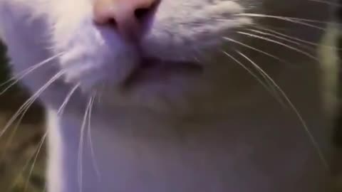That face.. 😟