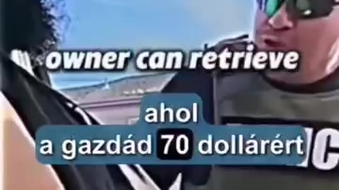 Nem mindig jó ötlet macskának azonosítani magad