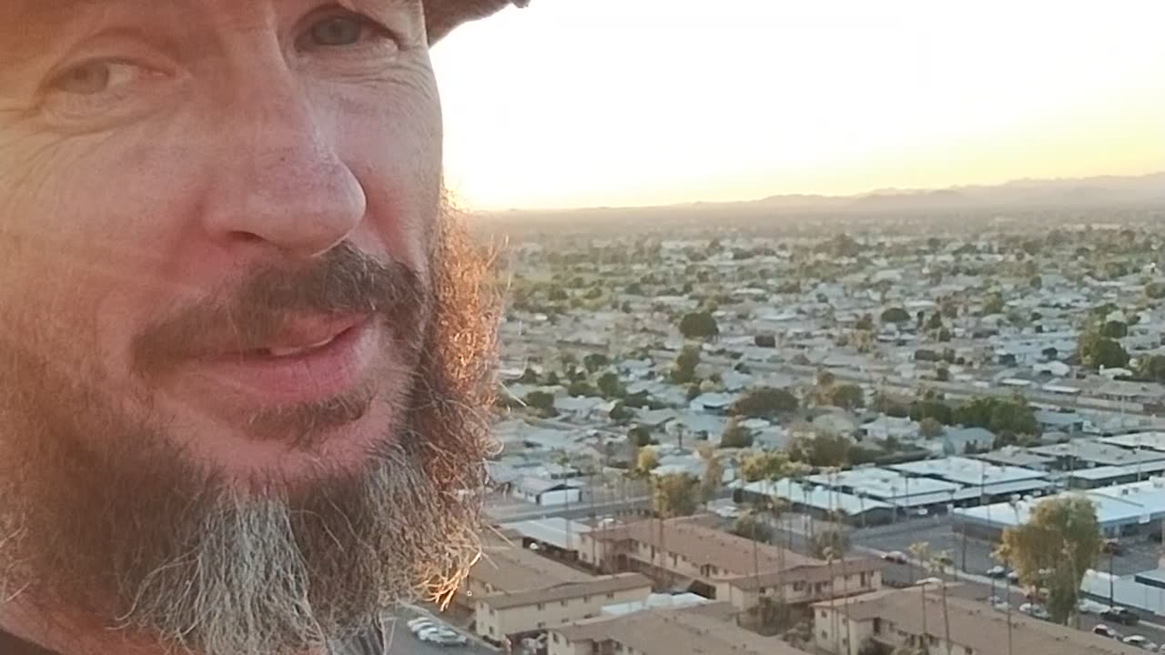 Bird Patrol on Sept 13th 2025