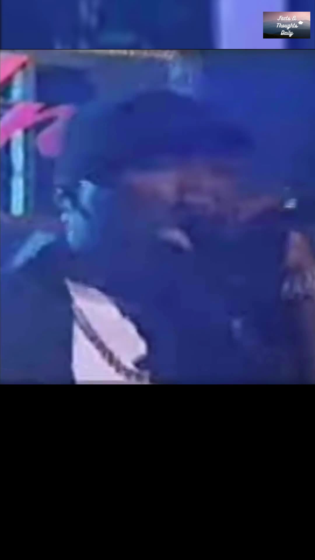 G-Unit 🔥 Stunt 101 LIVE at the 2004 BET Awards 🎤💎 #GUnit #50Cent