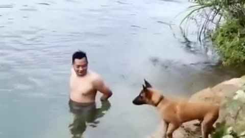 Dog Saving a Man