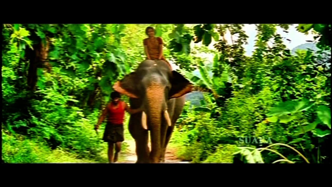 Aiyyayo | Kumki | 4K 60fps