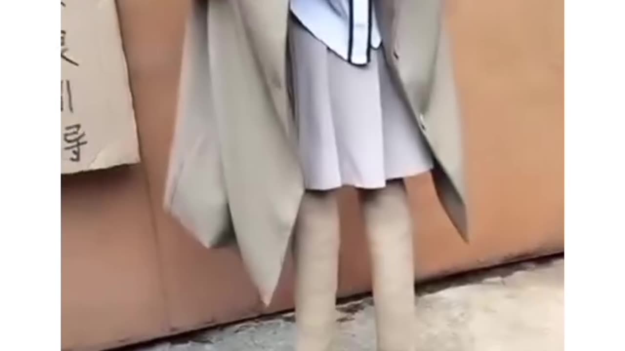 Cross dressing puppies