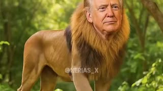 Trump is a Savage! He Posted this Lion King Parody of the Obama as Monkey's Lol