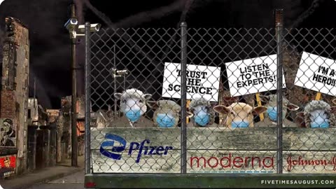 [Bill] Gates Behind the Bars | Five Times August
