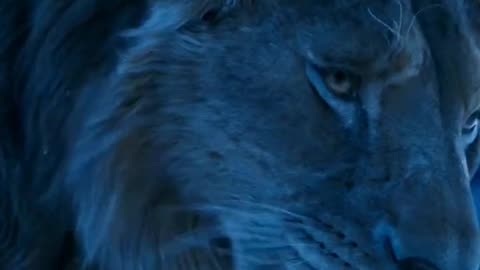 Mufasa 😍❤️ (Part - 61)....#reels #viralreels #reel #mufasa #animation #lastest #romantic #viralreel