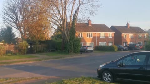 Time to Follow Your Golden Compass