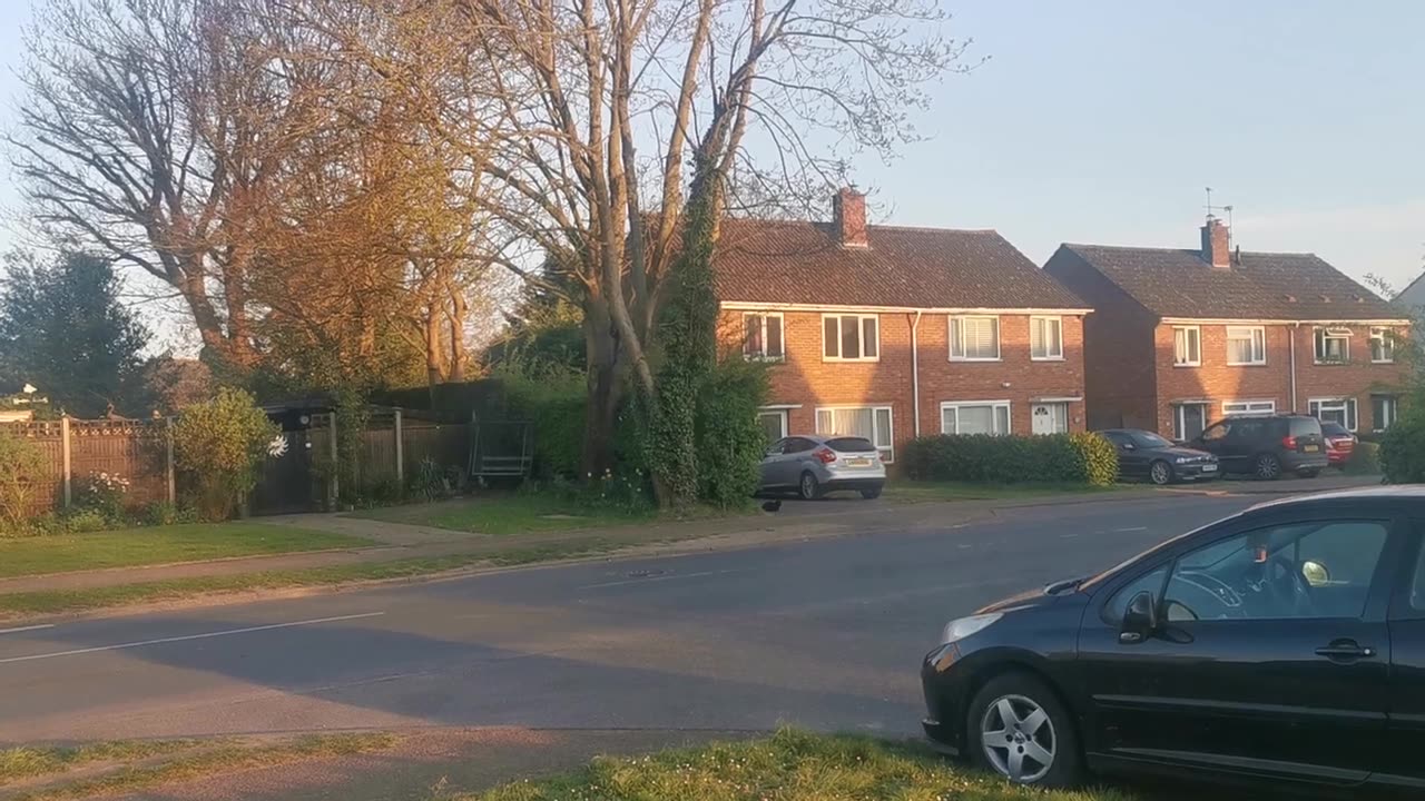 Time to Follow Your Golden Compass