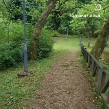 Mountain Nature video