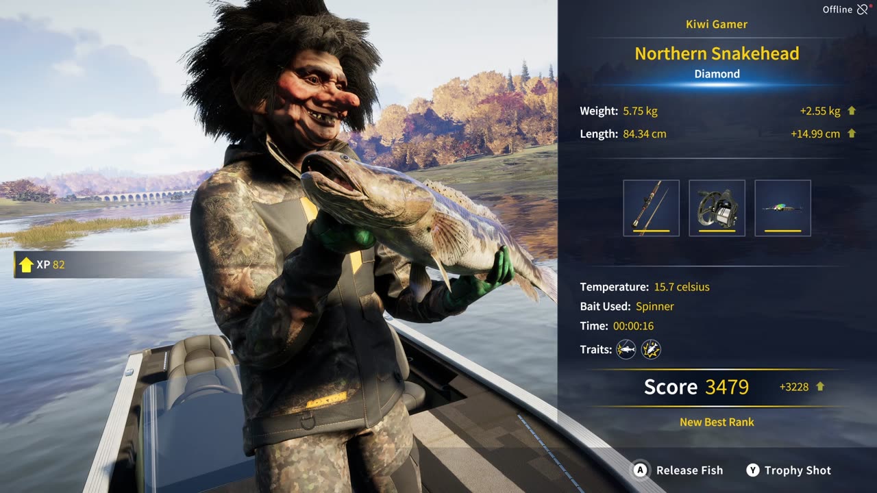 Diamond Northern Snakehead Kamuibetsu Reserve COTW The Angler