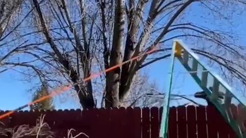 Top 5 Epic Fails That Broke the Internet! 🤯 #fails #funny #shorts #failure
