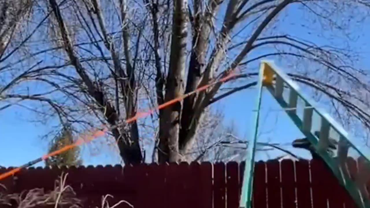 Top 5 Epic Fails That Broke the Internet! 🤯 #fails #funny #shorts #failure