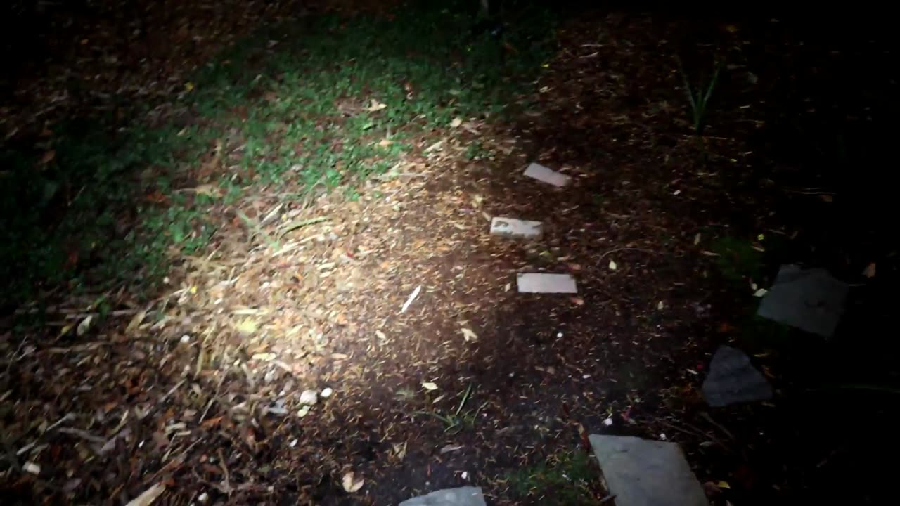 Wuben PL01 650 Lumens Pen Light Gadget Review