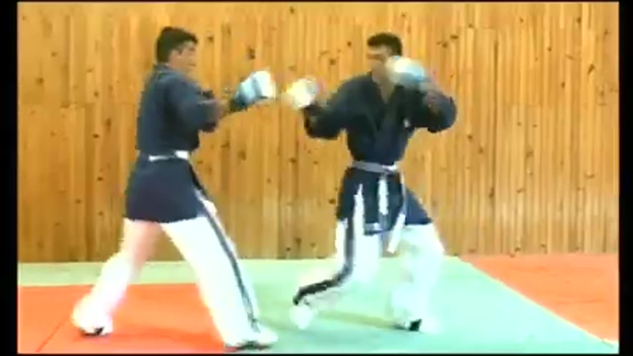 Hapkido