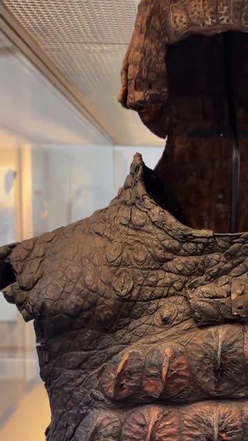 Crocodile suit of Armor from Roman Egypt
