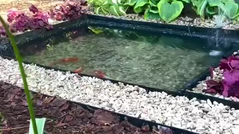 Simple pond